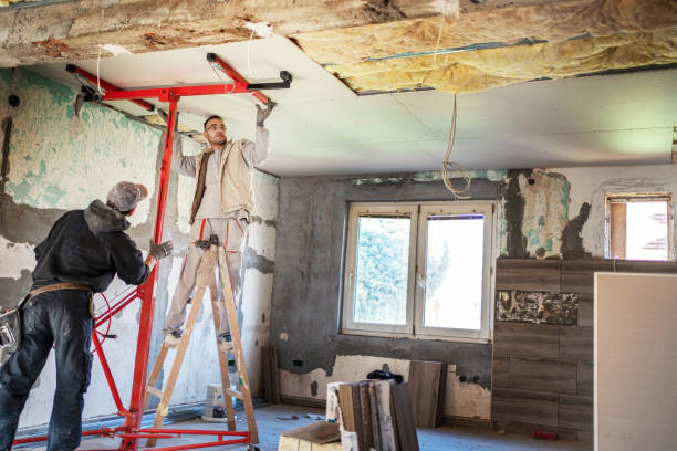 Best Residential Insulation in Shafer, MN